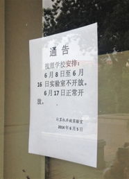 高中作文愛(ài)國類(lèi)開(kāi)頭結尾