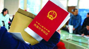 辦理房產(chǎn)證申請書(shū)(房產(chǎn)證辦理的委托書(shū)范本)