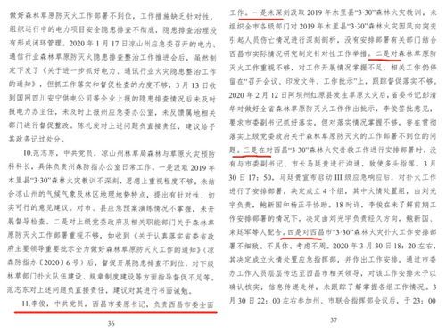 事故調查分析報告(事故調查分析報告)