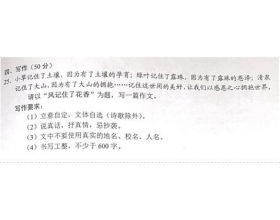 記一次考試作文開(kāi)頭怎么寫(xiě)