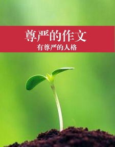 關(guān)于我們需要堅持的作文開(kāi)頭