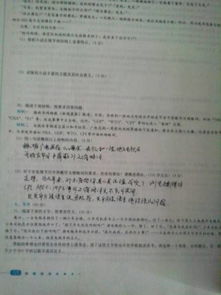 啟發(fā)了我作文開(kāi)頭怎么寫(xiě)