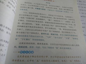 母親對我鼓勵的作文開(kāi)頭結尾