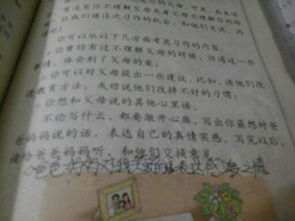 我真想媽媽作文600字作文開頭