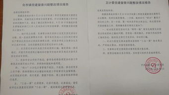 整改落實(shí)情況報告(黨組整改落實(shí)情況報告)