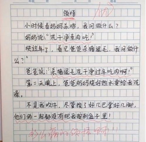 真沒(méi)想到要畢業(yè)了450作文開(kāi)頭