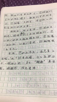 享受堅持的樂趣的作文開頭