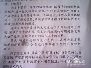 讓我成功的作文開(kāi)頭
