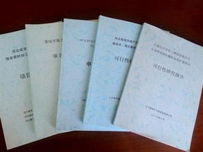 硼砂項(xiàng)目可行性研究報(bào)告(硼砂項(xiàng)目可行性研究報(bào)告)