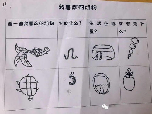 我的動物朋友高中作文開頭和結尾