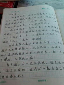能獲得啟示的作文的開(kāi)頭