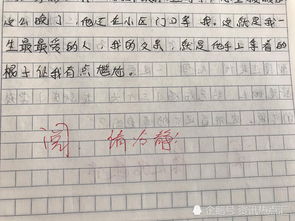我的父親是一個(gè)好老師作文開(kāi)頭結(jié)尾