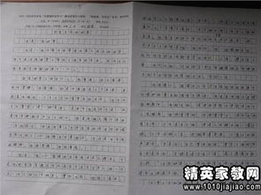 如何指導(dǎo)學(xué)生寫(xiě)好作文的開(kāi)頭