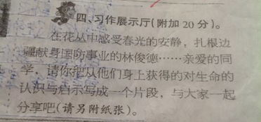 以生命啟迪為題的作文開(kāi)頭