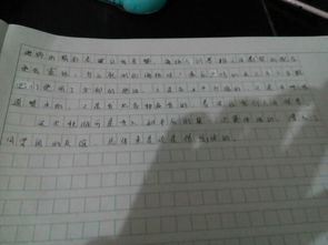 對(duì)秋游的期待作文開(kāi)頭結(jié)尾