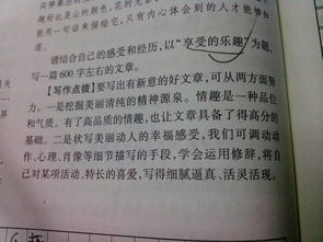 朋友樂趣作文開頭結(jié)尾