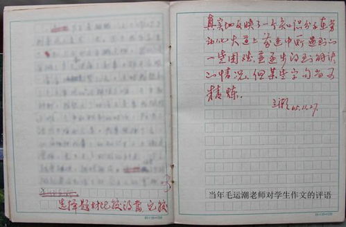 我為創(chuàng)文盡點(diǎn)力作文開頭