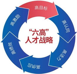 人才戰略的案例(人才戰略的案例)
