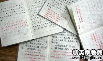 用謎語(yǔ)開(kāi)頭寫(xiě)大熊貓的作文
