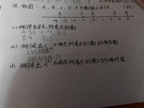 那次我學會了600字作文開頭