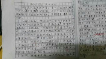 自己寫(xiě)的誠信的作文開(kāi)頭結尾