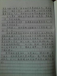 親情類(lèi)作文600高中作文開(kāi)頭