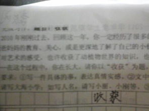 那次經(jīng)歷那次收獲作文開(kāi)頭