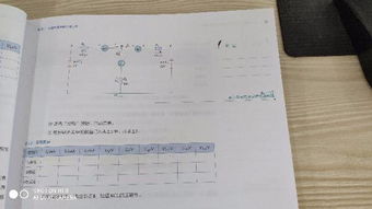 大學(xué)電路實驗報告(電路實驗報告要求)