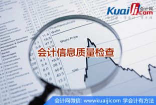 會(huì)計(jì)信息質(zhì)量管理的自查報(bào)告范文(會(huì)計(jì)信息質(zhì)量的提高)