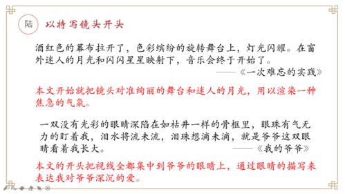 用比喻開(kāi)頭的中考作文