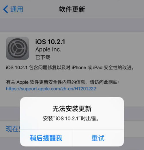 更新(IT 審計的更新)