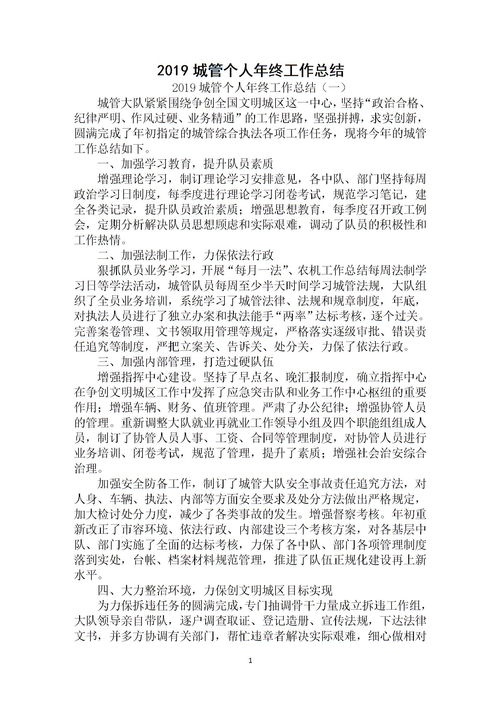 城管年終個(gè)人總結()