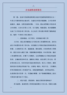 副職述職報告(副職轉正述職報告)