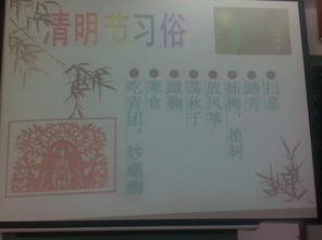 小學(xué)清明節主題活動(dòng)的總結報告(小學(xué)清明節主題活動(dòng)總結報告)