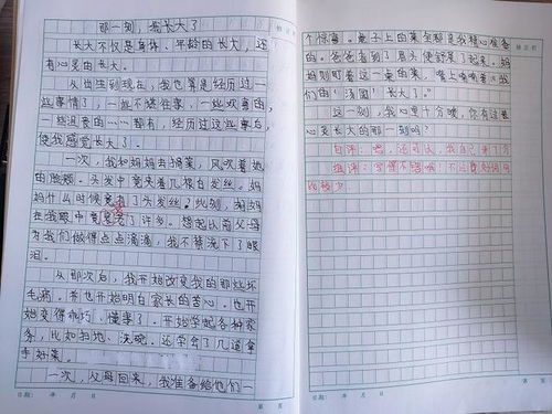 作文,五級,開(kāi)頭,長(cháng)大了