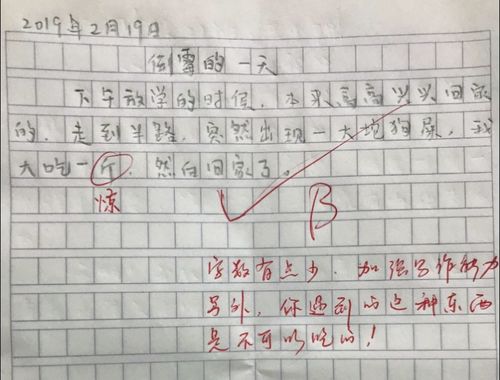 標(biāo)點(diǎn)符號(hào)的遐想作文開(kāi)頭