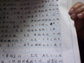 感動(dòng)淚的作文開(kāi)頭和結尾