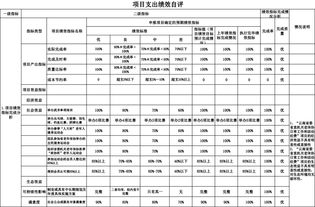 項(xiàng)目績(jī)效自評(píng)報(bào)告(項(xiàng)目績(jī)效考核自評(píng)報(bào)告)