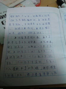 想起那一天的感動作文開頭