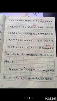 他笑了作文開(kāi)頭結尾,我笑了作文開(kāi)頭和結尾,媽媽笑了作文開(kāi)頭結尾