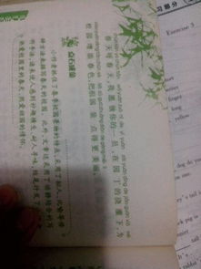 學(xué)校初一的風(fēng)景作文開(kāi)頭結尾