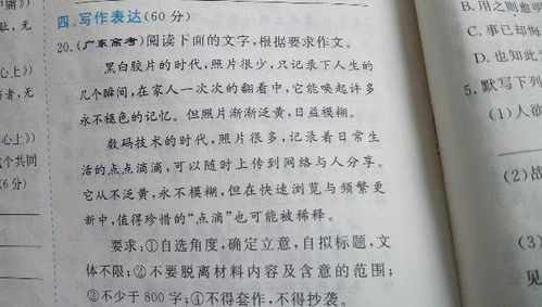 溫暖社會(huì )別人作文開(kāi)頭