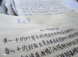他其實(shí)不簡單作文開頭