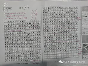 那一刻我流淚了作文的開(kāi)頭怎么寫(xiě)