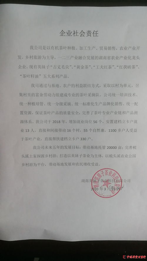 個(gè)人社會(huì )責任報告書(shū)(個(gè)人社會(huì )責任報告)