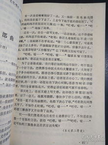 城市改造小學(xué)作文(城市改造建設口號)