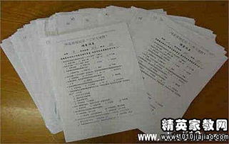 黨的社會實(shí)踐報告例文(黨的兒女心得體會例文)