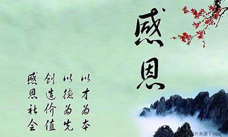 感恩的心作文三級六級開(kāi)頭