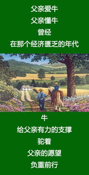 那一刻我讀懂了背后的美麗作文開(kāi)頭結(jié)尾