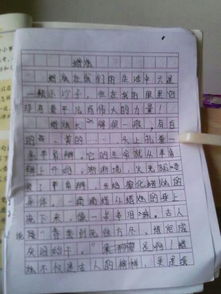 讀書對自己的啟示的作文開頭結尾